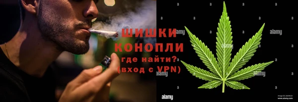 гидропоника Горняк