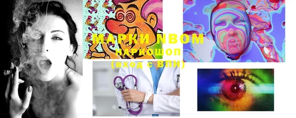 гидропоника Горняк