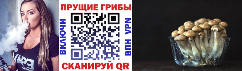 Купить  Звенигово  Псилоцибиновые грибы Cubensis 
